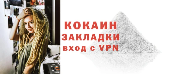 сатива Козловка