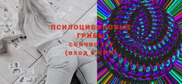 сатива Козловка