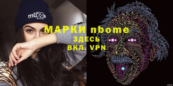 сатива Козловка