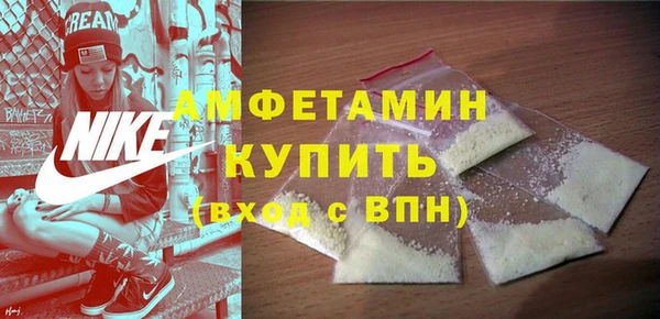 сатива Козловка