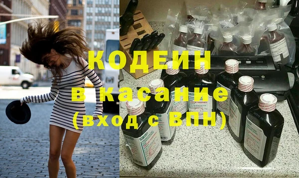 сатива Козловка