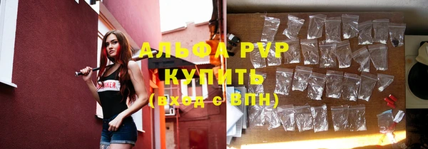 сатива Козловка