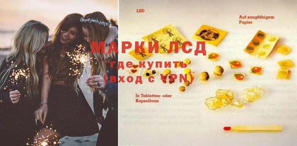 сатива Козловка