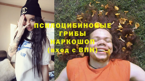 сатива Козловка