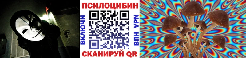 Купить  Орлов  Галлюциногенные грибы мухоморы 